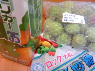 �~��2010�B���̂Q�B